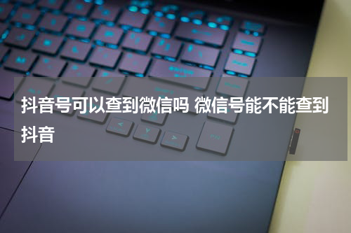 抖音号可以查到微信吗 微信号能不能查到抖音