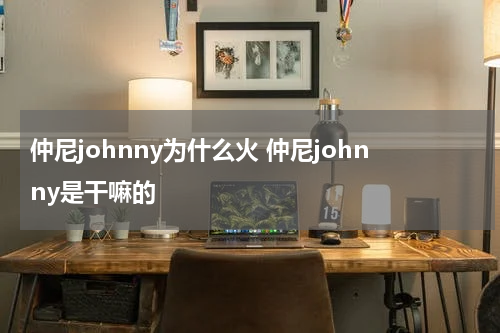 仲尼johnny为什么火 仲尼johnny是干嘛的