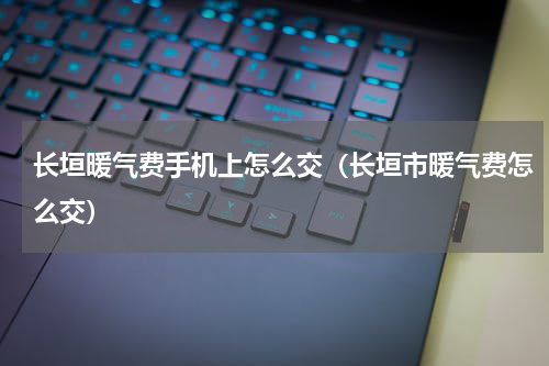 长垣暖气费手机上怎么交（长垣市暖气费怎么交）