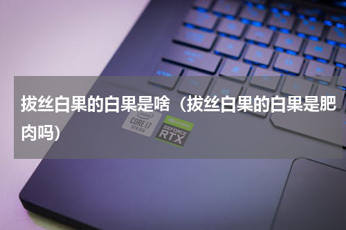 拔丝白果的白果是啥（拔丝白果的白果是肥肉吗）