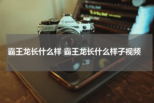 霸王龙长什么样 霸王龙长什么样子视频