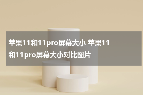 苹果11和11pro屏幕大小 苹果11和11pro屏幕大小对比图片