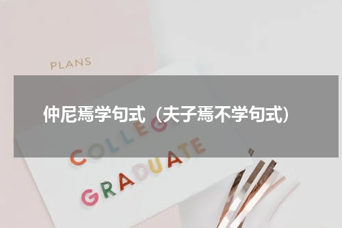 仲尼焉学句式（夫子焉不学句式）