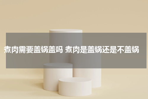 煮肉需要盖锅盖吗 煮肉是盖锅还是不盖锅