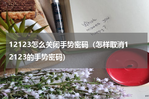 12123怎么关闭手势密码（怎样取消12123的手势密码）
