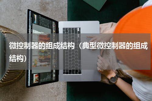 微控制器的组成结构（典型微控制器的组成结构）