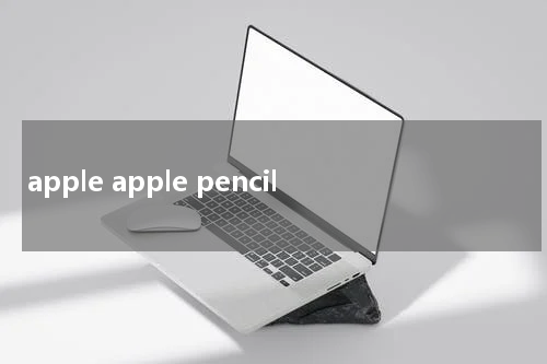 apple apple pencil