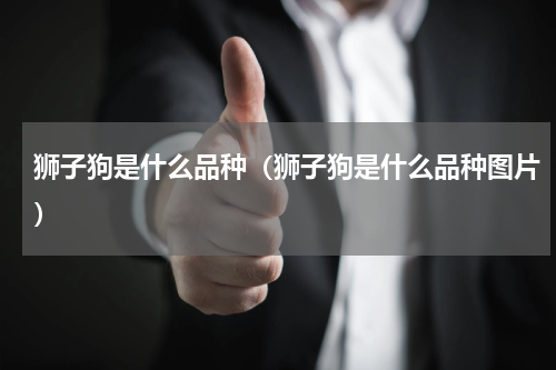 狮子狗是什么品种（狮子狗是什么品种图片）