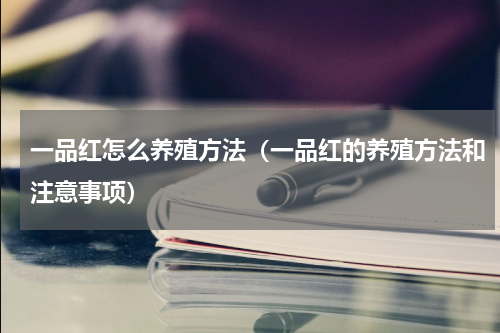一品红怎么养殖方法（一品红的养殖方法和注意事项）