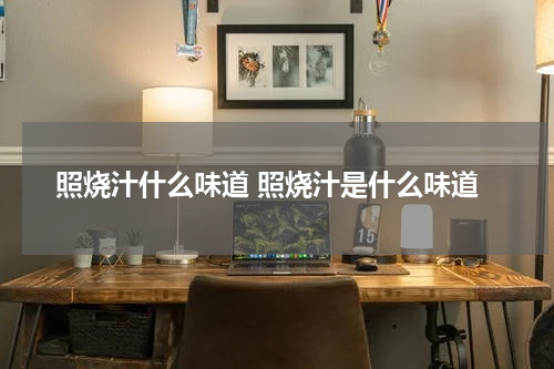 照烧汁什么味道 照烧汁是什么味道