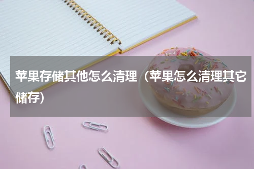 苹果存储其他怎么清理（苹果怎么清理其它储存）