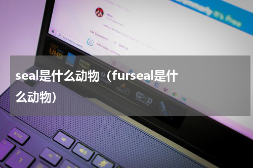 seal是什么动物（furseal是什么动物）