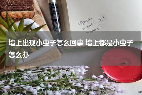 墙上出现小虫子怎么回事 墙上都是小虫子怎么办