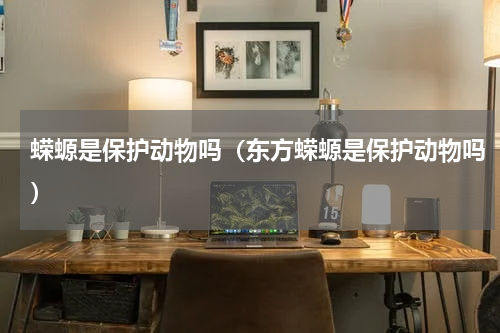 蝾螈是保护动物吗（东方蝾螈是保护动物吗）
