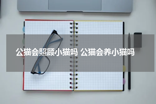 公猫会照顾小猫吗 公猫会养小猫吗