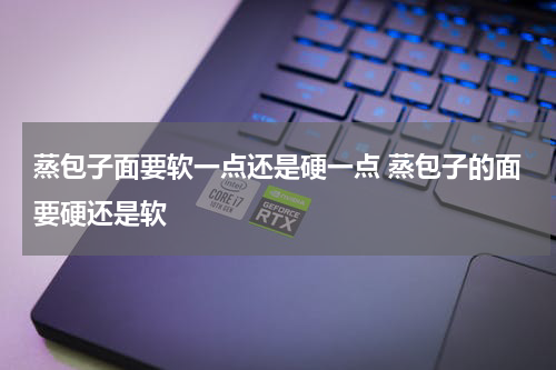 蒸包子面要软一点还是硬一点 蒸包子的面要硬还是软