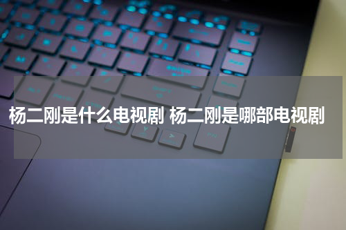 杨二刚是什么电视剧 杨二刚是哪部电视剧