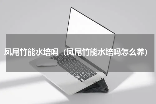 凤尾竹能水培吗（凤尾竹能水培吗怎么养）
