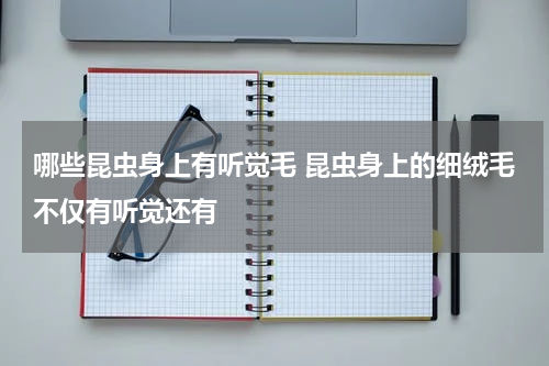 哪些昆虫身上有听觉毛 昆虫身上的细绒毛不仅有听觉还有