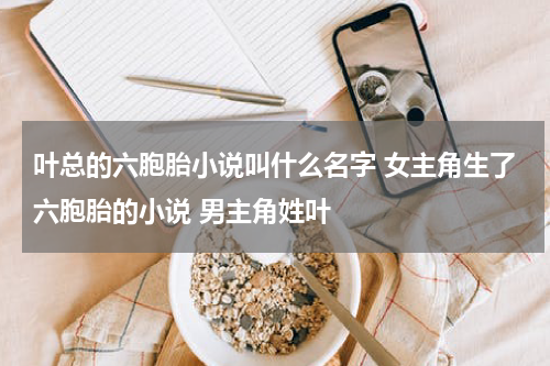叶总的六胞胎小说叫什么名字 女主角生了六胞胎的小说 男主角姓叶