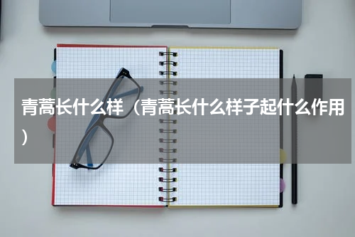 青蒿长什么样（青蒿长什么样子起什么作用）