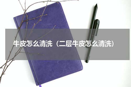 牛皮怎么清洗（二层牛皮怎么清洗）