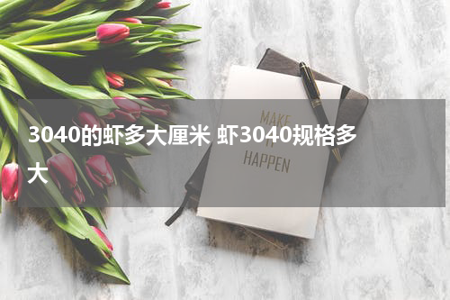 3040的虾多大厘米 虾3040规格多大