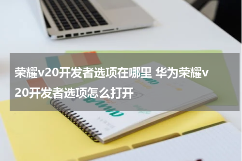 荣耀v20开发者选项在哪里 华为荣耀v20开发者选项怎么打开