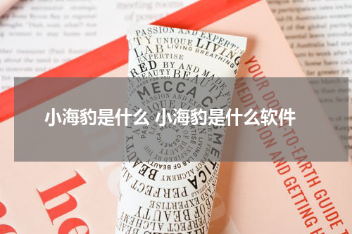 小海豹是什么 小海豹是什么软件