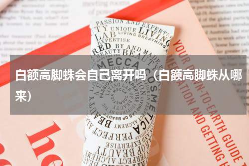白额高脚蛛会自己离开吗（白额高脚蛛从哪来）