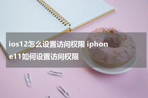 ios12怎么设置访问权限 iphone11如何设置访问权限