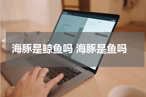 海豚是鲸鱼吗 海豚是鱼吗