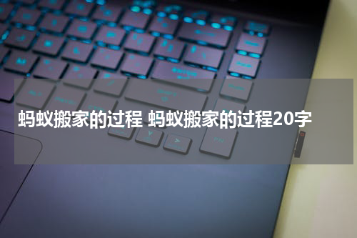 蚂蚁搬家的过程 蚂蚁搬家的过程20字