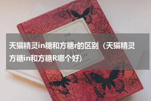 天猫精灵in糖和方糖r的区别（天猫精灵方糖in和方糖R哪个好）