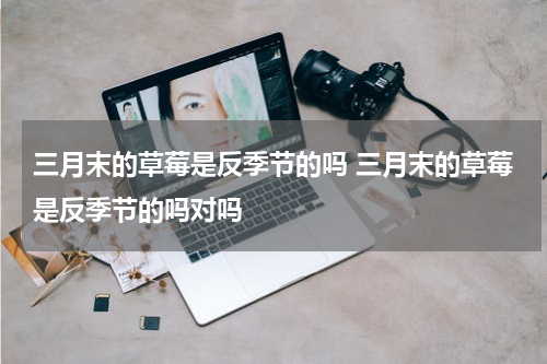 三月末的草莓是反季节的吗 三月末的草莓是反季节的吗对吗