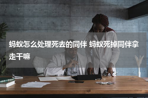 蚂蚁怎么处理死去的同伴 蚂蚁死掉同伴拿走干嘛