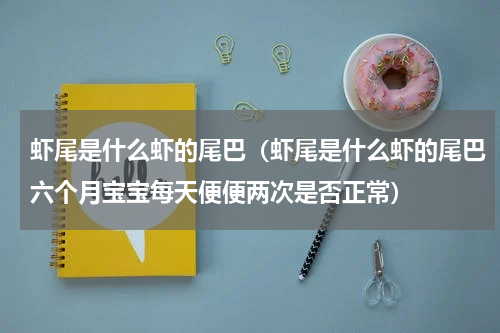 虾尾是什么虾的尾巴（虾尾是什么虾的尾巴六个月宝宝每天便便两次是否正常）