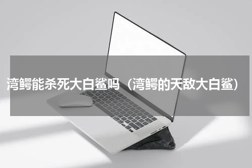 湾鳄能杀死大白鲨吗（湾鳄的天敌大白鲨）