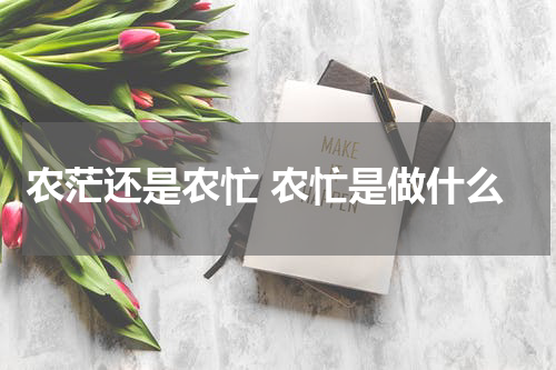 农茫还是农忙 农忙是做什么