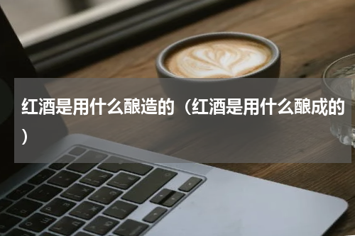 红酒是用什么酿造的（红酒是用什么酿成的）