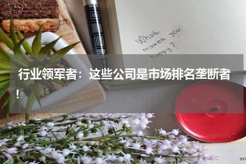  行业领军者：这些公司是市场排名垄断者！