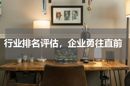  行业排名评估，企业勇往直前