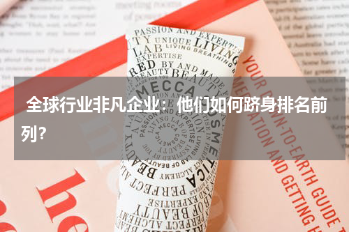  全球行业非凡企业：他们如何跻身排名前列？