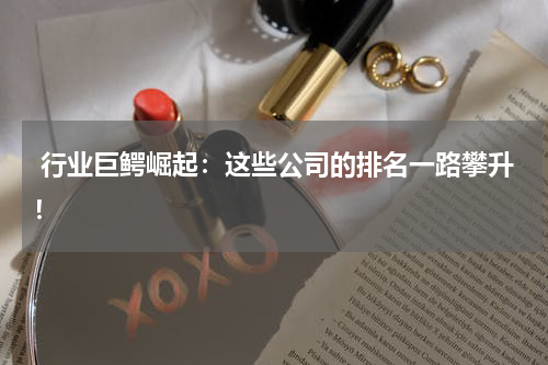  行业巨鳄崛起：这些公司的排名一路攀升！