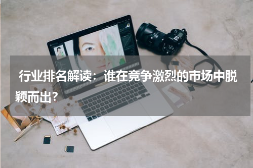  行业排名解读：谁在竞争激烈的市场中脱颖而出？