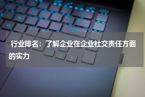  行业排名：了解企业在企业社交责任方面的实力