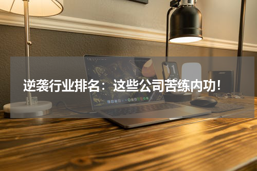  逆袭行业排名：这些公司苦练内功！