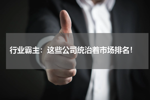  行业霸主：这些公司统治着市场排名！