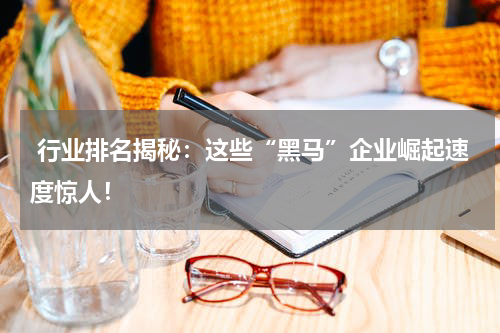  行业排名揭秘：这些“黑马”企业崛起速度惊人！