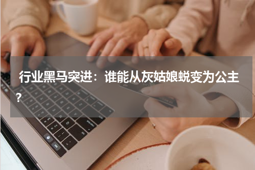  行业黑马突进：谁能从灰姑娘蜕变为公主？